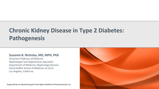 Susanne B. Nicholas, MD, MPH, PhD
Associate Professor of Medicine
Nephrologist and Hypertension Specialist
Department of Medicine, Nephrology Division
David Geffen School of Medicine at UCLA
Los Angeles, California
Chronic Kidney Disease in Type 2 Diabetes:
Pathogenesis
Supported by an educational grant from Bayer HealthCare Pharmaceuticals, Inc.
 