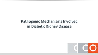 Pathogenic Mechanisms Involved
in Diabetic Kidney Disease
 