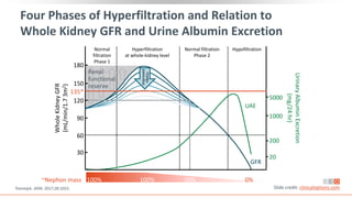 Four Phases of Hyperfiltration and Relation to
Whole Kidney GFR and Urine Albumin Excretion
Tonneijck. JASN. 2017;28:1023. Slide credit: clinicaloptions.com
180
150
135*
120
90
60
30
Whole
Kidney
GFR
(mL/min/1.7
3m
2
)
5000
1000
200
20
Urinary
Albumin
Excretion
(mg/24
hr)
UAE
GFR
~Nephon mass 100% 100% 50% 0%
Hypofiltration
Normal filtration
Phase 2
Hyperfiltration
at whole-kidney level
Normal
filtration
Phase 1
Renal
functional
reserve
Improved
HbA1c
 