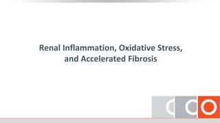 Renal Inflammation, Oxidative Stress,
and Accelerated Fibrosis
 