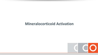 Mineralocorticoid Activation
 