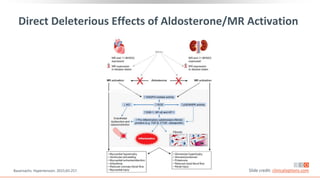 Direct Deleterious Effects of Aldosterone/MR Activation
Bauersachs. Hypertension. 2015;65:257. Slide credit: clinicaloptions.com
Kiran D. Mir-Hudgeons
 