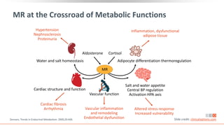 MR at the Crossroad of Metabolic Functions
Zennaro. Trends in Endocrinol Metabolism. 2009;20:444. Slide credit: clinicaloptions.com
Hypertension
Nephrosclerosis
Proteinuria
Inflammation, dysfunctional
adipose tissue
Water and salt homeostasis Adipocyte differentiation thermoregulation
Vascular function
Cardiac structure and function
Salt and water appetite
Central BP regulation
Activation HPA axis
Cardiac fibrosis
Arrhythmia Vascular inflammation
and remodeling
Endothelial dysfunction
Altered stress response
Increased vulnerability
Aldosterone Cortisol
MR
 