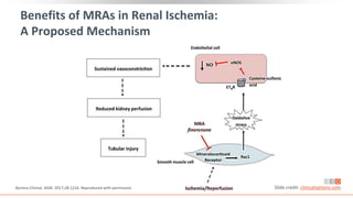 Benefits of MRAs in Renal Ischemia:
A Proposed Mechanism
Barrera-Chimal. JASN. 2017;28:1216. Reproduced with permission. Slide credit: clinicaloptions.com
 
