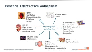 Beneficial Effects of MR Antagonism
Jaisser. Pharmacol Rev. 2016;68:49. Reproduced with permission. Slide credit: clinicaloptions.com
MR Antagonism
beneficial for:
ADIPOSE TISSUE:
Obesity
HEART:
Heart Failure
Myocardial infarction
Arrhythmia
Fibrosis
KIDNEY:
Hypertension
Ischemic insult
Glomerular injury
IMMUNE CELLS:
Inflammation
SKIN:
Epidermal atrophy
BLOOD VESSELS:
Vasoconstriction
Endothelial dysfunction
Hypertension
Atherosclerosis
Remodeling
RETINA:
Retinal edema
Neoangiogenesis
Central serous chorioretinitis
 