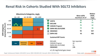 VERTIS
DECLARE
CANVAS Program
EMPA-REG OUTCOME
CREDENCE
DAPA-CKD 43 965
Renal Risk in Cohorts Studied With SGLT2 Inhibitors
Low
Moderately
increased
High Very high
<30
30-44
45-59
60-90
≥90
GFR
Categories
(mL/min/1.73
m
2
)
Albuminuria Categories, mg/g
A1: <30 A2: 30-300 A3: >300
D
C E
Median
UACR,
mg/g
X
13
12
18
927
Mean eGFR,
mL/min/1.73 m2
76
85
76
74
56
Sustained RRT Events
DECLARE Not reported
CANVAS Program 18
EMPA-REG OUTCOME 11
CREDENCE 176
D
C
E
V
V
x 1.31 mg/mmol-geo mean
Kluger. Cardiovascular Diabetol. 2019;18:99. Cannon. NEJM. 2020;383:1425. Heerspink. NEJM. 2020;383:1436. Slide credit: clinicaloptions.com
 