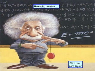 Uno solo, la cebra …   Clica aqui  para seguir 