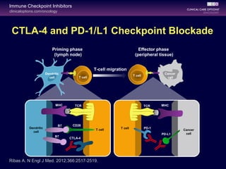 clinicaloptions.com/oncology
Immune Checkpoint Inhibitors
CTLA-4 and PD-1/L1 Checkpoint Blockade
Ribas A. N Engl J Med. 2012;366:2517-2519.
Priming phase
(lymph node)
Effector phase
(peripheral tissue)
T-cell migration
Dendritic
cell
T cell
MHC TCR
B7
CD28
CTLA-4
T cell
Cancer
cell
MHCTCR
PD-1
PD-L1
T cell
Cancer
cell
Dendritic
cell
T cell
B7
 