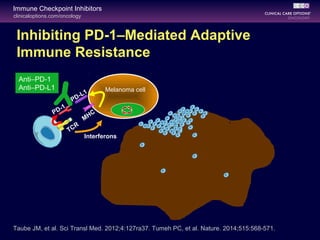 clinicaloptions.com/oncology
Immune Checkpoint Inhibitors
Inhibiting PD-1–Mediated Adaptive
Immune Resistance
TCR
MHC
Melanoma cell
PD-1
PD-L1
Interferons
Taube JM, et al. Sci Transl Med. 2012;4:127ra37. Tumeh PC, et al. Nature. 2014;515:568-571.
 