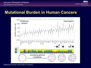 clinicaloptions.com/oncology
Immune Checkpoint Inhibitors
Mutational Burden in Human Cancers
National Cancer Informatics Program.
 