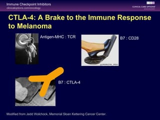clinicaloptions.com/oncology
Immune Checkpoint Inhibitors
CTLA-4: A Brake to the Immune Response
to Melanoma
Antigen-MHC : TCR B7 : CD28
B7 : CTLA-4
Modified from Jedd Wolchock, Memorial Sloan Kettering Cancer Center.
 