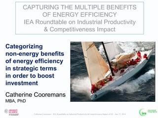 CAPTURING THE MULTIPLE BENEFITS
OF ENERGY EFFICIENCY
IEA Roundtable on Industrial Productivity
& Competitiveness Impact
Categorizing
non-energy benefits
of energy efficiency
in strategic terms
in order to boost
investment
Catherine Cooremans
MBA, PhD
Catherine Cooremans – IEA Roundtable on Industrial Productivity &Competitiveness Impact of EE – Jan. 27, 2014

 