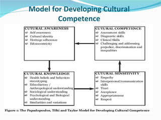 Model for Developing Cultural
        Competence
 