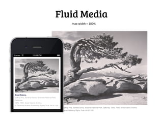 Fluid Media
   max-width = 100%
 