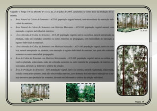 Página 10
Segundo o Artigo 146 do Decreto n° 5.153, de 23 de julho de 2004, caracteriza-se como áreas de produção de se-
mentes:
 Área Natural de Coleta de Sementes - ACSNS: população vegetal natural, sem necessidade de marcação indi-
vidual de matrizes;
 Área Natural de Coleta de Sementes com Matrizes Marcadas - ACS-NM: população vegetal natural, com
marcação e registro individual de matrizes;
 Área Alterada de Coleta de Sementes - ACS-AS: população vegetal, nativa ou exótica, natural antropizada ou
plantada, onde são coletadas sementes ou outros materiais de propagação, sem necessidade de marcação e
registro individual de matrizes;
 Área Alterada de Coleta de Sementes com Matrizes Marcadas - ACS-AM: população vegetal, nativa ou exó-
tica, natural antropizada ou plantada, com marcação e registro individual de matrizes, das quais são coletadas
sementes ou outro material de propagação;
 Área de Coleta de Sementes com Matrizes Selecionadas - ACS-MS: população vegetal, nativa ou exótica, na-
tural ou plantada, selecionada, onde são coletadas sementes ou outro material de propagação, de matrizes se-
lecionadas, devendo-se informar o critério de seleção;
 Área de Produção de Sementes - APS: população vegetal, nativa ou exótica, natural ou plantada, selecionada,
isolada contra pólen externo, onde são selecionadas matrizes, com desbaste dos indivíduos indesejáveis e ma-
nejo intensivo para produção de sementes, devendo ser informado o critério de seleção individual.
ACS-MS
APS
 