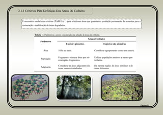 2.1.1 Critérios Para Definição Das Áreas De Colheita
Página 11
É necessário estabelecer critérios (TABELA 1) para selecionar áreas que garantam a produção permanente de sementes para a
restauração e reabilitação de áreas degradadas.
Parâmetro
Grupo Ecológico
Espécies pioneiras Espécies não pioneiras
Área 10 há ou mais. Considerar agrupamento como uma matriz.
População
Fragmento: misturar lotes por mi-
crorregião- fragmentos.
Utilizar populações maiores e menos per-
turbadas.
Adaptação
Considerar as áreas adjacentes das
áreas a serem trabalhadas.
Da mesma região; de áreas similares e de
áreas diferentes.
Tabela 1 - Parâmetros a serem considerados na seleção de áreas de colheita.
 