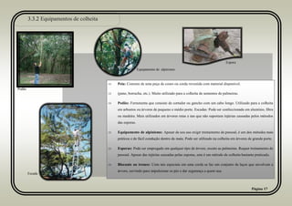 3.3.2 Equipamentos de colheita
Página 17
 Peia: Consiste de uma peça de couro ou corda revestida com material disponível.
 (pano, borracha, etc.). Muito utilizado para a colheita de sementes de palmeiras.
 Podão: Ferramenta que consiste de cortador ou gancho com um cabo longo. Utilizado para a colheita
em arbustos ou árvores de pequeno e médio porte. Escadas: Pode ser confeccionada em alumínio, fibra
ou madeira. Mais utilizados em árvores retas e nas que não suportam injúrias causadas pelos métodos
das esporas.
 Equipamento de alpinismo: Apesar de seu uso exigir treinamento de pessoal, é um dos métodos mais
práticos e de fácil condução dentro da mata. Pode ser utilizado na colheita em árvores de grande porte.
 Esporas: Pode ser empregado em qualquer tipo de árvore, exceto as palmeiras. Requer treinamento de
pessoal. Apesar das injúrias causadas pelas esporas, este é um método de colheita bastante praticado.
 Blocante ao tronco: Com nós especiais em uma corda se faz um conjunto de laços que envolvem a
árvore, servindo para impulsionar os pés e dar segurança a quem usa.
Podão
Equipamento de alpinismo
Escada
Espora
 