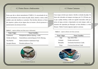 Página 19
4.2 Frutos Secos e Indeiscentes
Frutos que não se abrem naturalmente (TABELA 3), necessitando de au-
xilio de ferramentas como tesoura de poda, facão, martelo e outros, tendo
cuidado, para não danificar as sementes. Para facilitar abertura os frutos
são expostos a pleno sol por alguns dias no terreiro a fim de promover o
amolecimento da estrutura do fruto.
4.3 Frutos Carnosos
Usa-se água corrente que amacia e facilita a retirada da polpa. Os
frutos são colocados em tanques com água, por 12 a 24 horas, pa-
ra que a polpa amoleça, sendo em seguida macerados sobre pe-
neiras em água corrente e depositados em outro tanque, onde as
sementes são separadas por flutuação: as boas afundam e a ruins
flutuam. Tabela 4 mostra algumas espécies carnosas.
Nome Vulgar Nome Cientifico
Canafistula Peltophorum dubium (Spreng. ) Taub.
Orelha-de-Macaco Enterolobium contortisiliquum (Vell.) Morong.
Pau-Marfim Balfourodendron riedelianum Engl.
Sucupira Branca Pterodon pubscens Vog.
Tabela 3— espécies arbóreas com frutos secos e indeiscentes .
Nome Vulgar Nome Cientifico
Ingá Inga edulis Mart.
Jenipapo Genipa americana L.
Mirindiba Terminalia brasiliensis Camb.
Pequi Caryocar brasiliense Camb.
Tabela 4— espécies arbóreas com frutos carnosos.
Uso de facão para extração de
Limpeza fruto carnoso
 