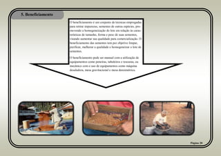 5. Beneficiamento
Página 20
O beneficiamento é um conjunto de técnicas empregadas
para retirar impurezas, sementes de outras espécies, pro-
movendo a homogeneização do lote em relação às carac-
terísticas de tamanho, forma e peso de suas sementes,
visando aumentar sua qualidade para comercialização. O
beneficiamento das sementes tem por objetivo limpar,
purificar, melhorar a qualidade e homogeneizar o lote de
sementes.
O beneficiamento pode ser manual com a utilização de
equipamentos como peneiras, tabuleiros e tesouras, ou
mecânico com o uso de equipamentos como máquina
desaladora, mesa gravitacional e mesa densimétrica.
 
