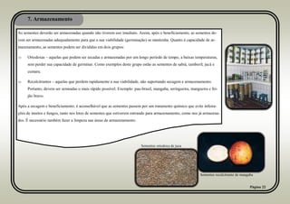 7. Armazenamento
Página 22
As sementes deverão ser armazenadas quando não tiverem uso imediato. Assim, após o beneficiamento, as sementes de-
vem ser armazenadas adequadamente para que a sua viabilidade (germinação) se mantenha. Quanto à capacidade de ar-
mazenamento, as sementes podem ser divididas em dois grupos:
 Ortodoxas – aquelas que podem ser secadas e armazenadas por um longo período de tempo, a baixas temperaturas,
sem perder sua capacidade de germinar. Como exemplos deste grupo estão as sementes de sabiá, tamboril, jucá e
cumaru.
 Recalcitrantes – aquelas que perdem rapidamente a sua viabilidade, não suportando secagem e armazenamento.
Portanto, devem ser semeadas o mais rápido possível. Exemplo: pau-brasil, mangaba, seringueira, mangueira e fei-
jão bravo.
Após a secagem e beneficiamento, é aconselhável que as sementes passem por um tratamento químico que evite infesta-
ções de insetos e fungos, tanto nos lotes de sementes que estiverem entrando para armazenamento, como nos já armazena-
dos. É necessário também fazer a limpeza nas áreas de armazenamento.
Sementes ortodoxa de juca
Sementes recalcitrante de mangaba
 