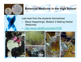 Botanical Medicine in the High School


Lets hear from the students themselves!
–  Mesa Happenings- Biotech 2 Making Herbal
   Medicines
–  http://www.edtv99.org/video/7239/
 