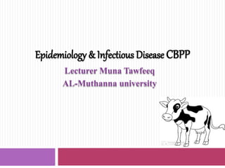Epidemiology & Infectious Disease CBPP
Lecturer Muna Tawfeeq
AL-Muthanna university
 