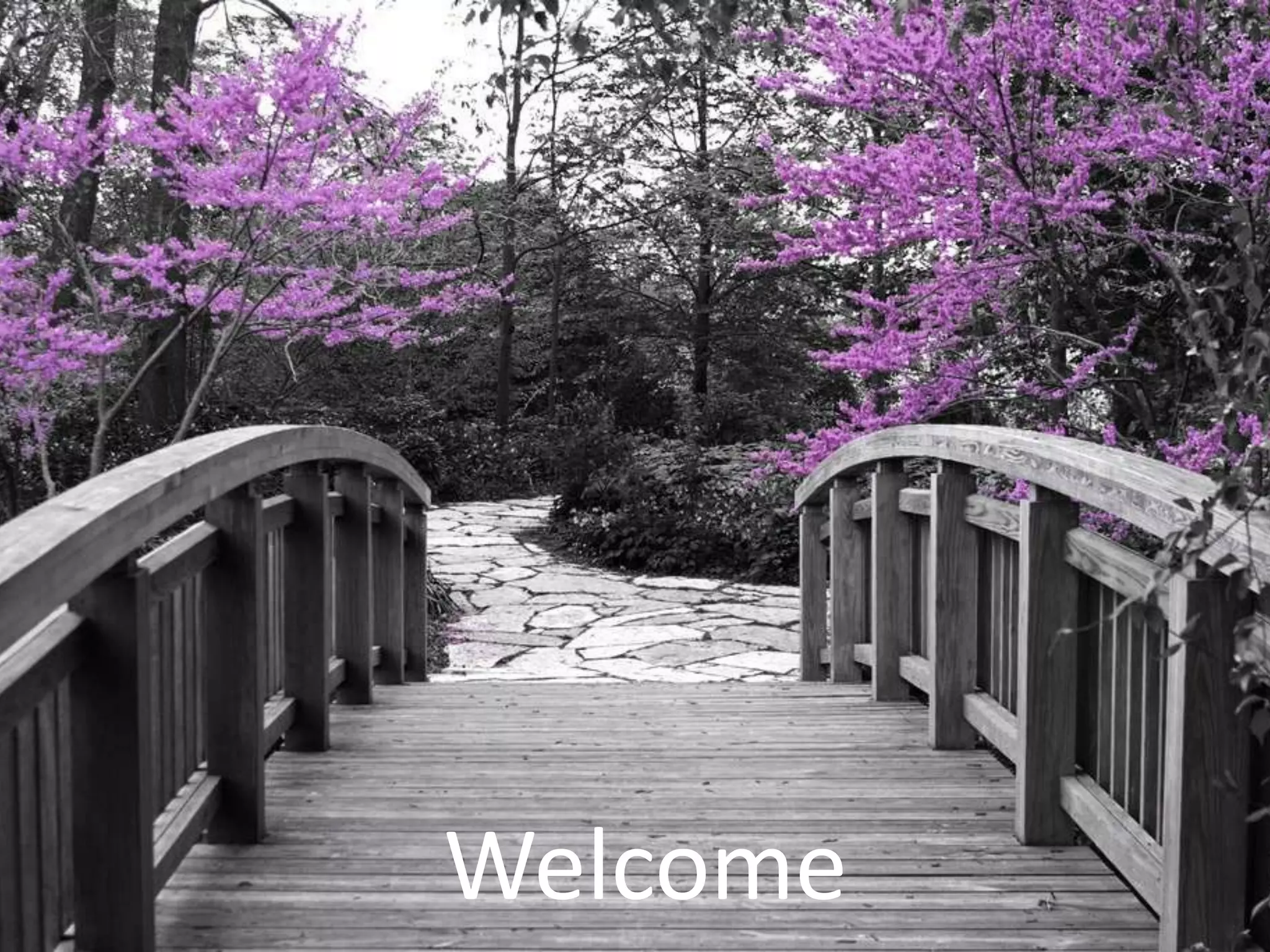 Community Conversations Project, Bridges to the Future, Lake Forest Park, WA