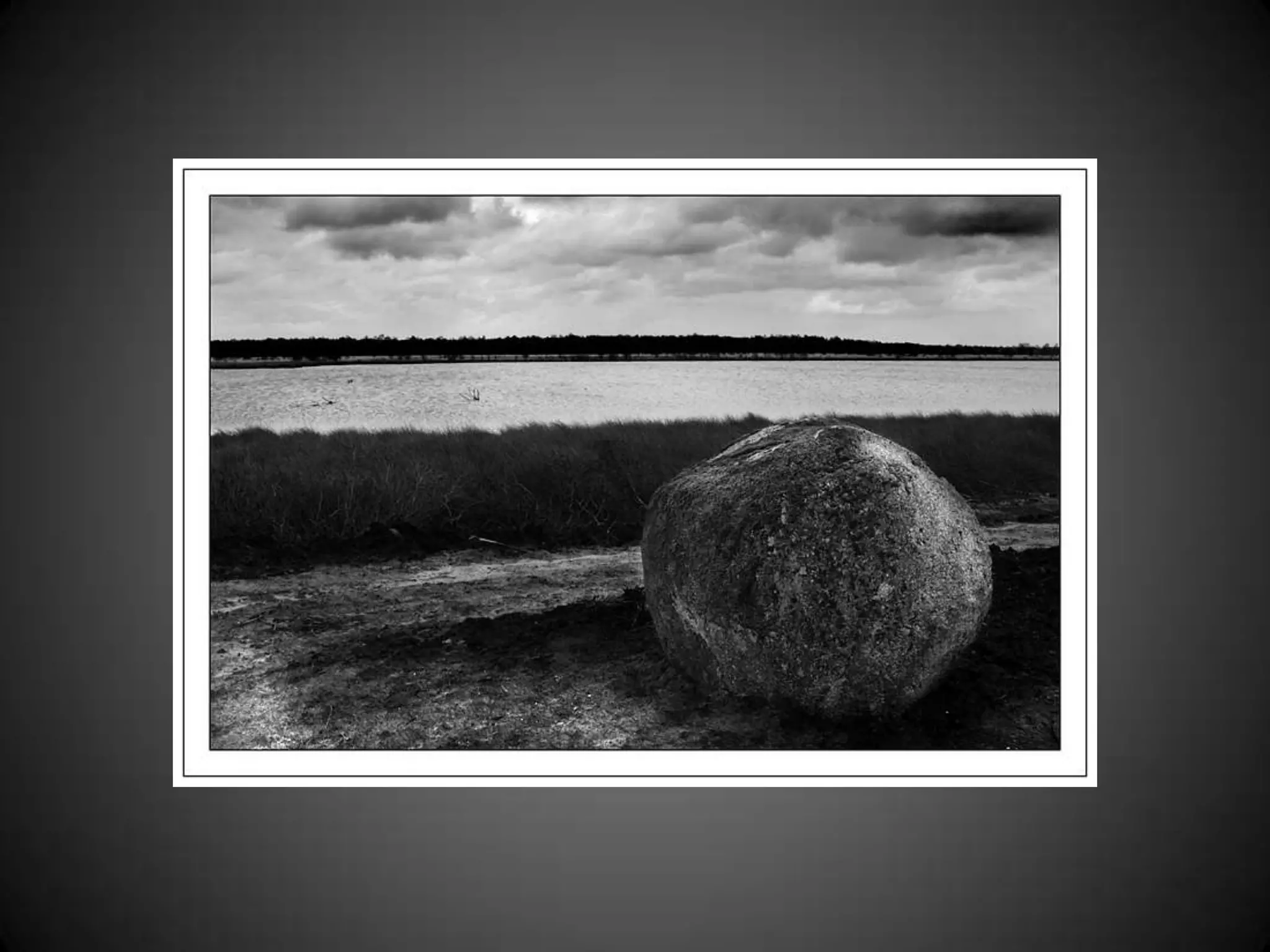 Community Conversations Project, Bridges to the Future, Lake Forest Park, WA
