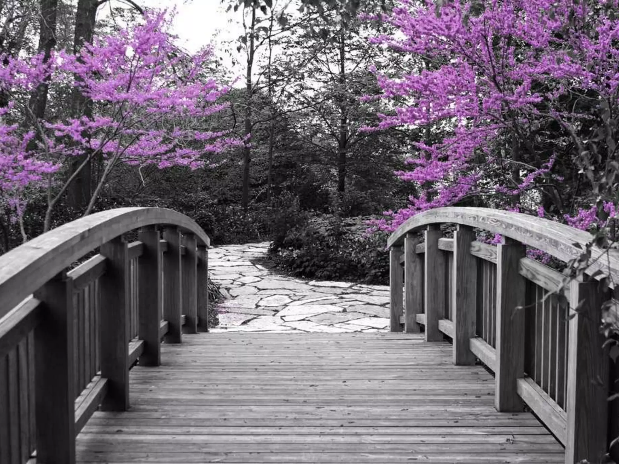 Community Conversations Project, Bridges to the Future, Lake Forest Park, WA