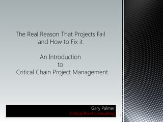 Gary Palmer
Critical Point Consulting 1
 