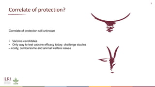 Analysis of the role of mucosal antibodies in protection against contagious caprine pleuropneumonia and contagious bovine pleuropneumonia: Update