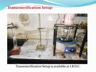 Transesterification Setup:
Transesterification Setup is available at I.B.D.C.
 
