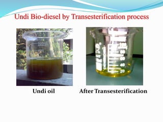 Undi Bio-diesel by Transesterification process
Undi oil After Transesterification
 