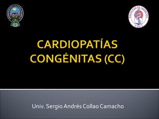 Univ. Sergio Andrés Collao Camacho UNIVERSIDAD MAYOR DE SAN ANDRÉS FACULTAD DE MEDICINA CARRERA DE MEDICINA CÁTEDRA DE CARDIOLOGÍA    