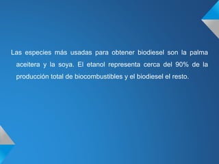 Las especies más usadas para obtener biodiesel son la palma
aceitera y la soya. El etanol representa cerca del 90% de la
producción total de biocombustibles y el biodiesel el resto.
 
