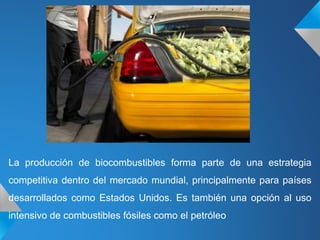 La producción de biocombustibles forma parte de una estrategia
competitiva dentro del mercado mundial, principalmente para países
desarrollados como Estados Unidos. Es también una opción al uso
intensivo de combustibles fósiles como el petróleo
 