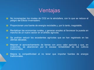 Ventajas
⦿ No incrementan los niveles de CO2 en la atmósfera, con lo que se reduce el
peligro del Efecto invernadero.
⦿ Proporcionan una fuente de energía reciclable y, por lo tanto, inagotable.
⦿ Revitalizan las economías rurales, y generan empleo al favorecer la puesta en
marcha de un nuevo sector en el ámbito agrícola.
⦿ Se podrían reducir los excedentes agrícolas que se han registrado en las
últimas décadas.
⦿ Mejoran el aprovechamiento de tierras con poco valor agrícola y que, en
ocasiones, se abandonan por la escasa rentabilidad de los cultivos
tradicionales.
⦿ Mejora la competitividad al no tener que importar fuentes de energía
tradicionales.
 