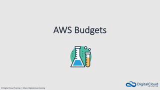 © Digital Cloud Training | https://digitalcloud.training
AWS Budgets
 