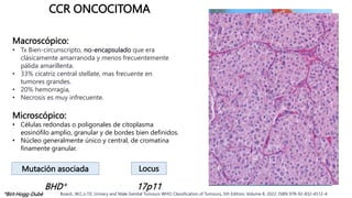 Cancer de celulas renales manejo y tto.pptx
