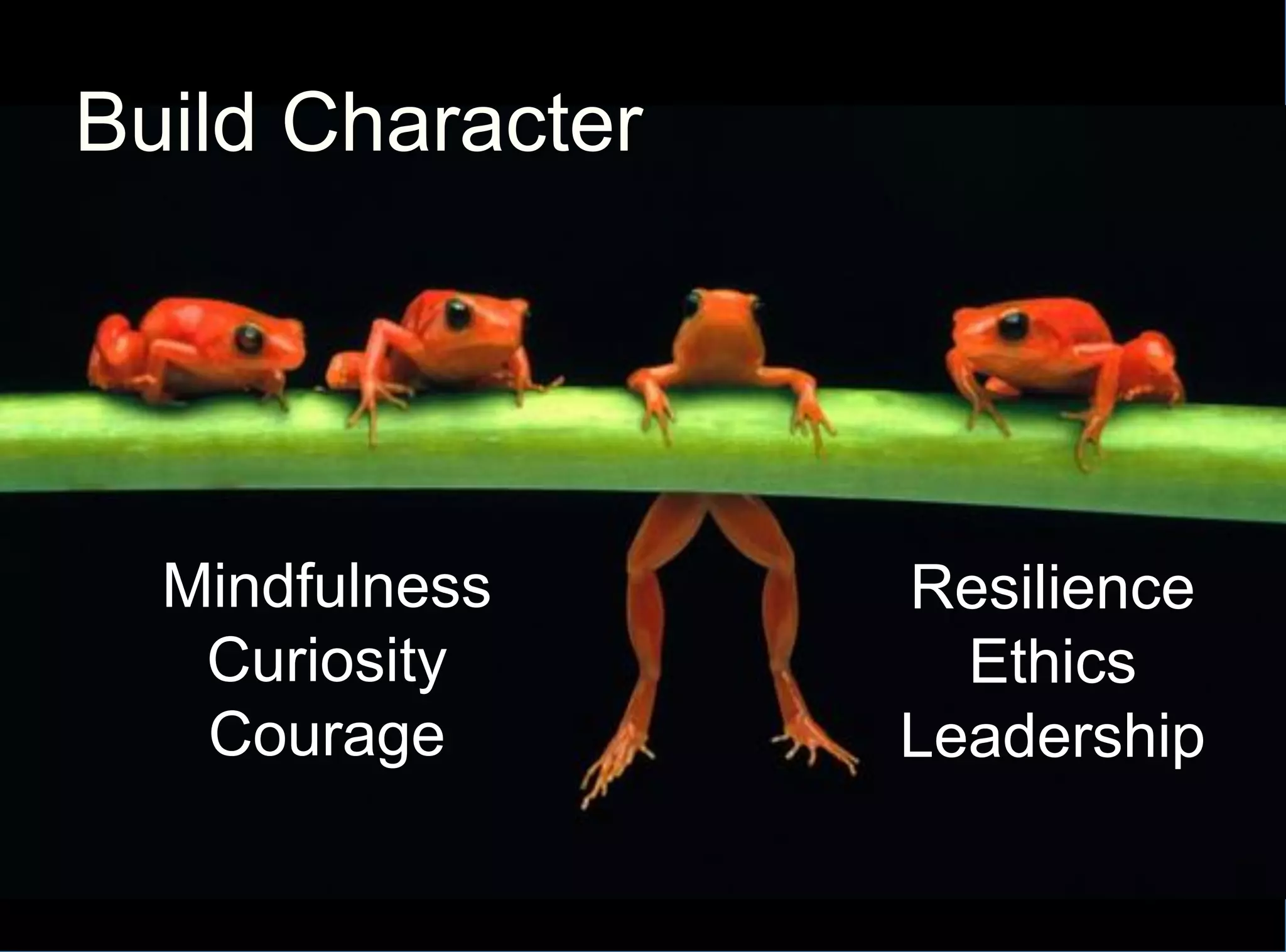 Mindfulness
Curiosity
Courage
Resilience
Ethics
Leadership
Build Character
 