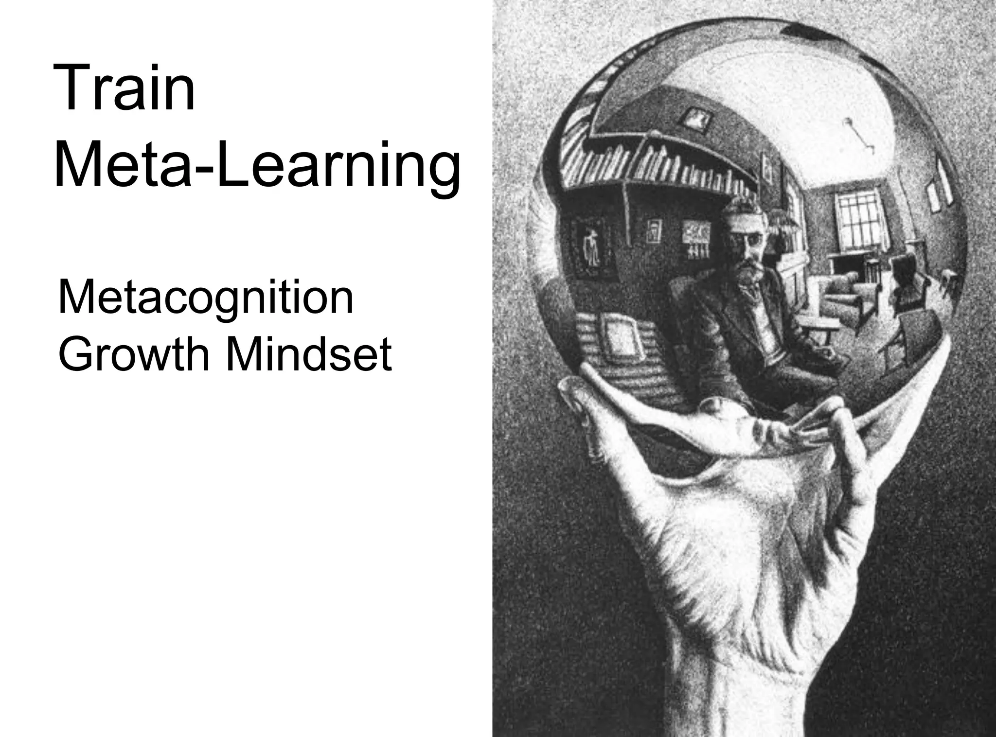 Train
Meta-Learning
Metacognition
Growth Mindset
 