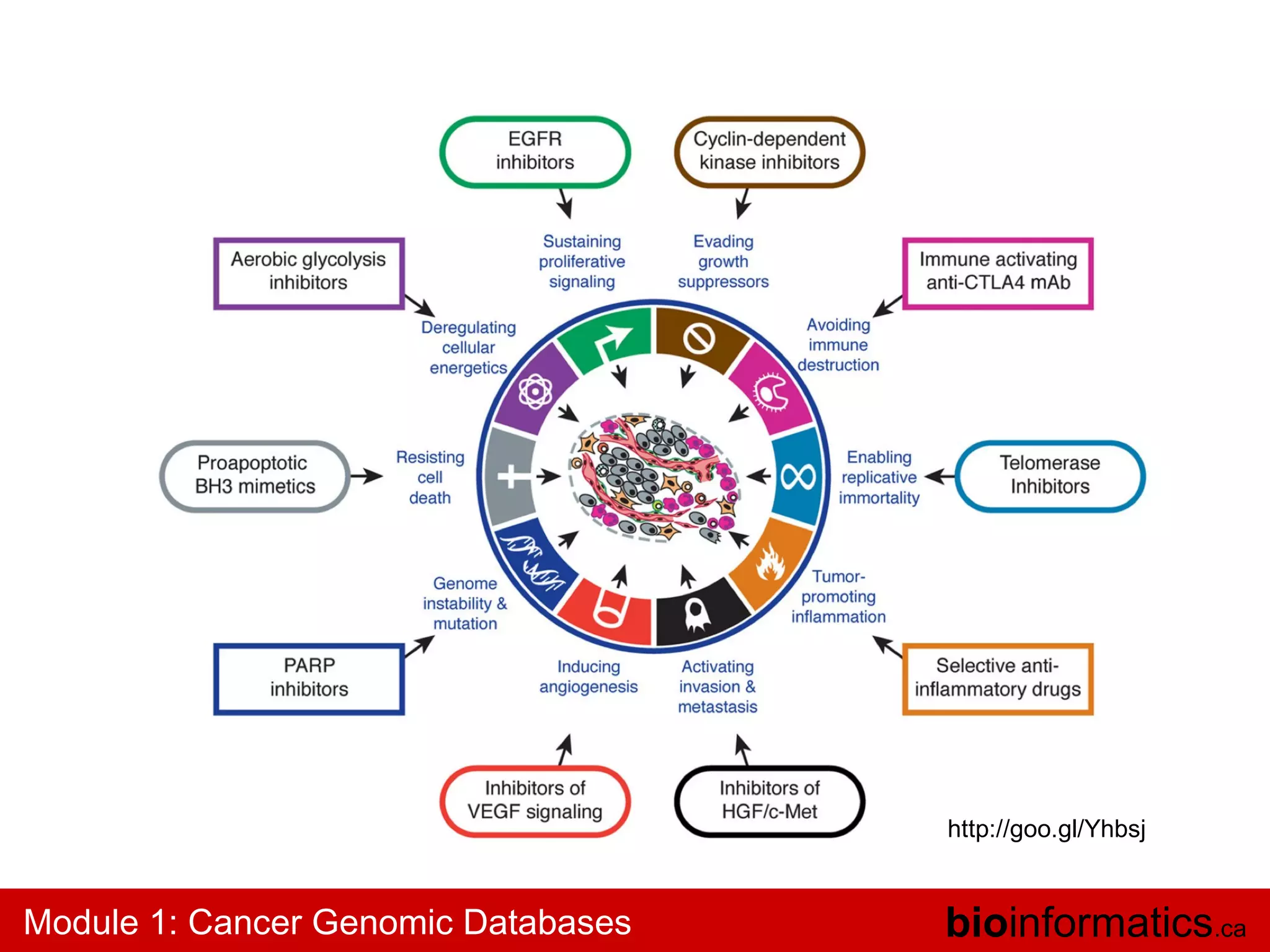http://goo.gl/Yhbsj

Module 1: Cancer Genomic Databases

bioinformatics.ca

 