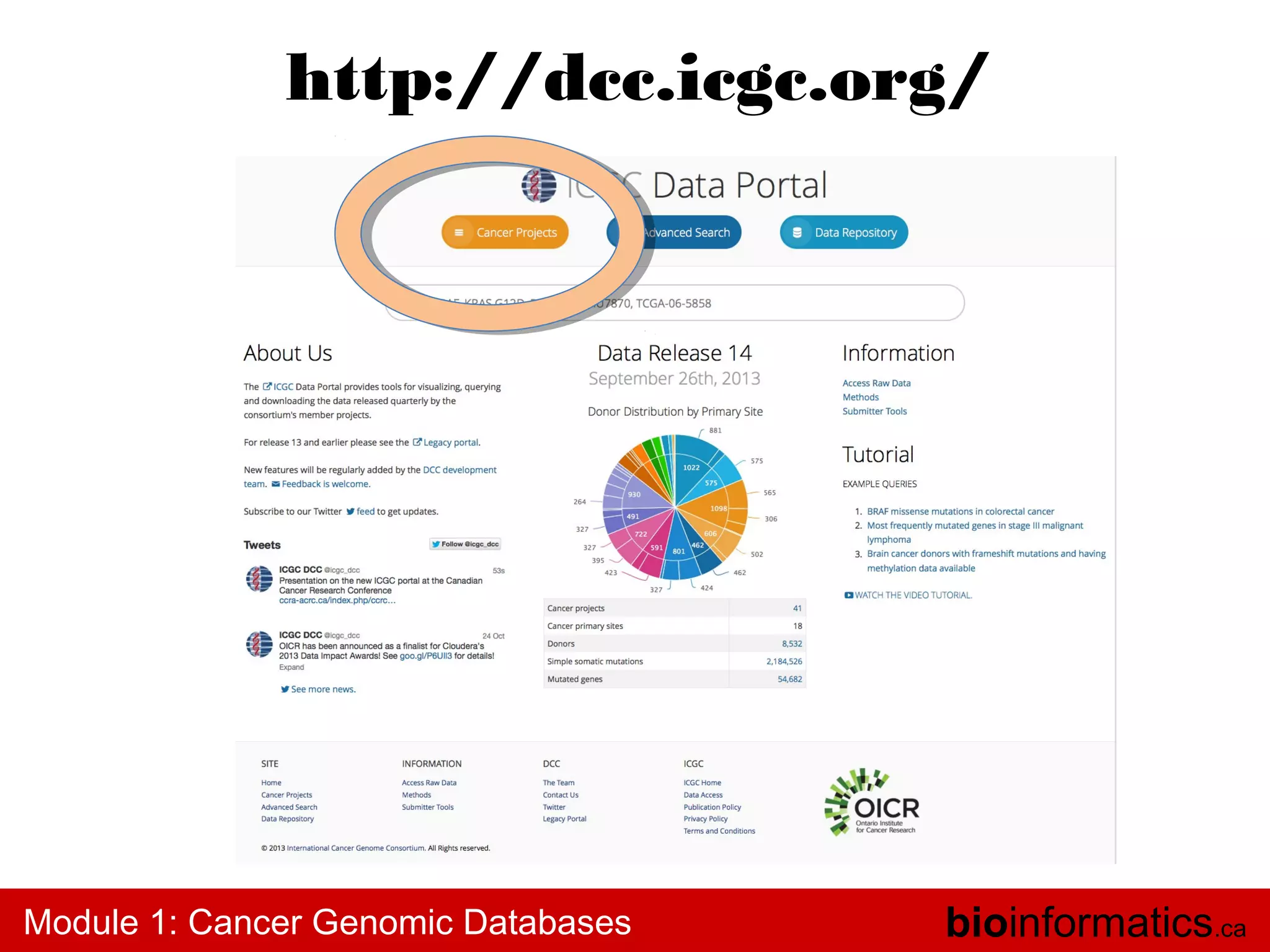 http://dcc.icgc.org/

Module 1: Cancer Genomic Databases

bioinformatics.ca

 