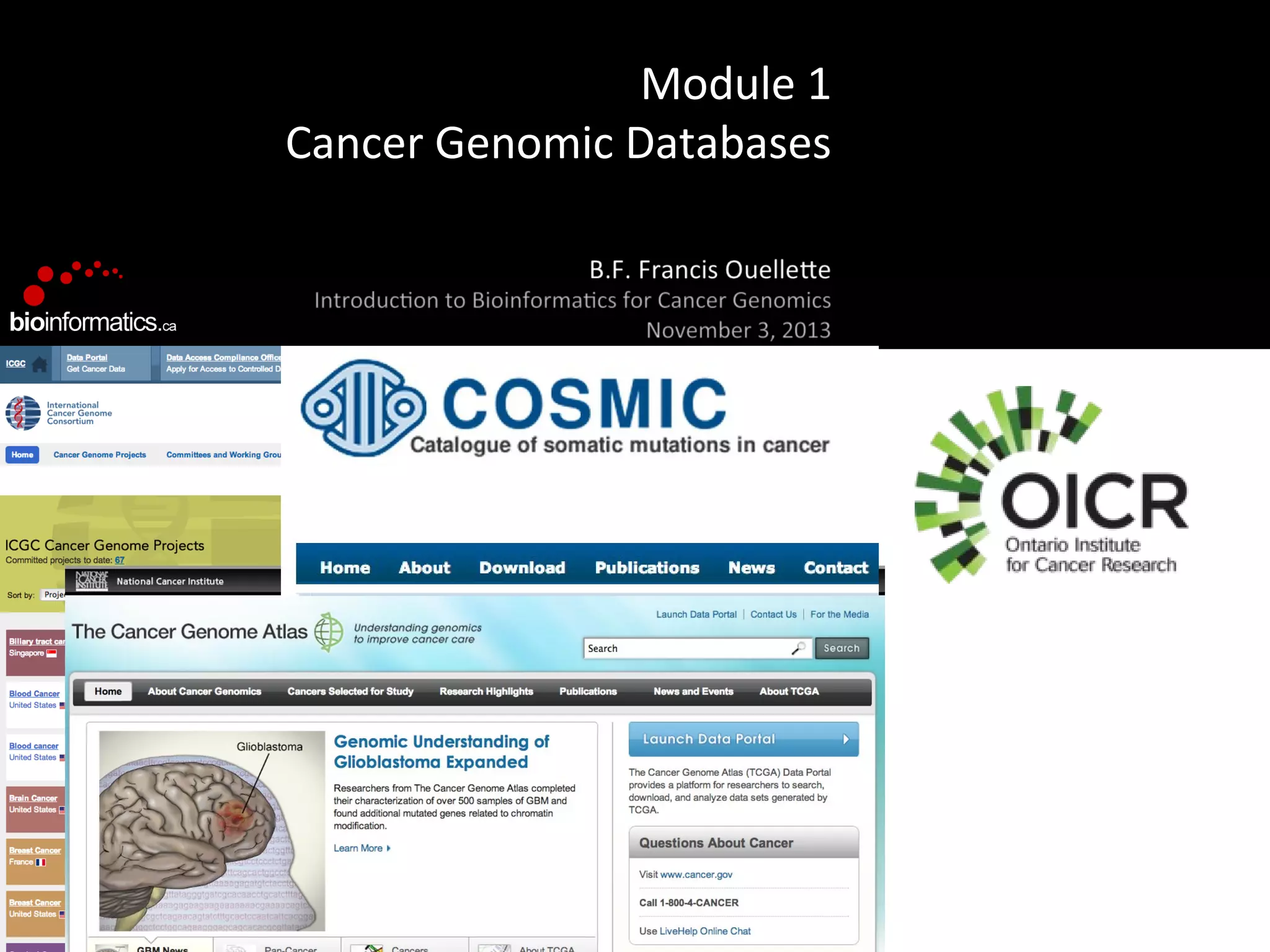 Module 1
Cancer Genomic Databases

 