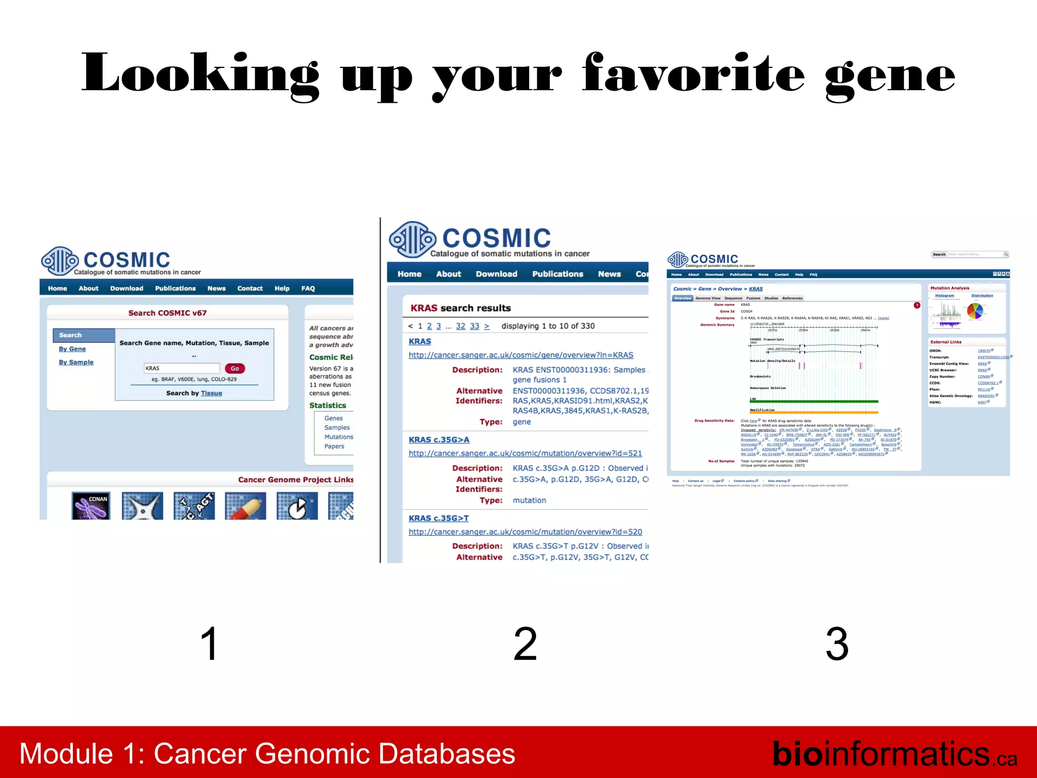 Looking up your favorite gene

1

2

Module 1: Cancer Genomic Databases

3
bioinformatics.ca

 