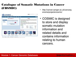 Introduction to Cancer Genomics Databases | PPT