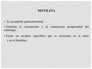 MOTILINA
• Es un péptido gastrointestinal.
• Estimula el vaciamiento y la contracción postprandial del
estómago.
• Existe un receptor específico que se encuentra en el antro
y en el duodeno.
 