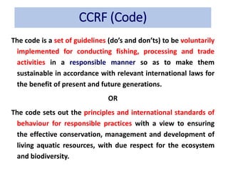 Ccrf | PPTX