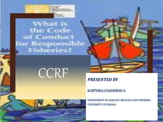 CCRF PRESENTED BY
KARTHIKACHANDRANA
DEPARTMENT OF AQUATIC BIOLOGY AND FISHERIES
UNIVERSITY OF KERALA
 