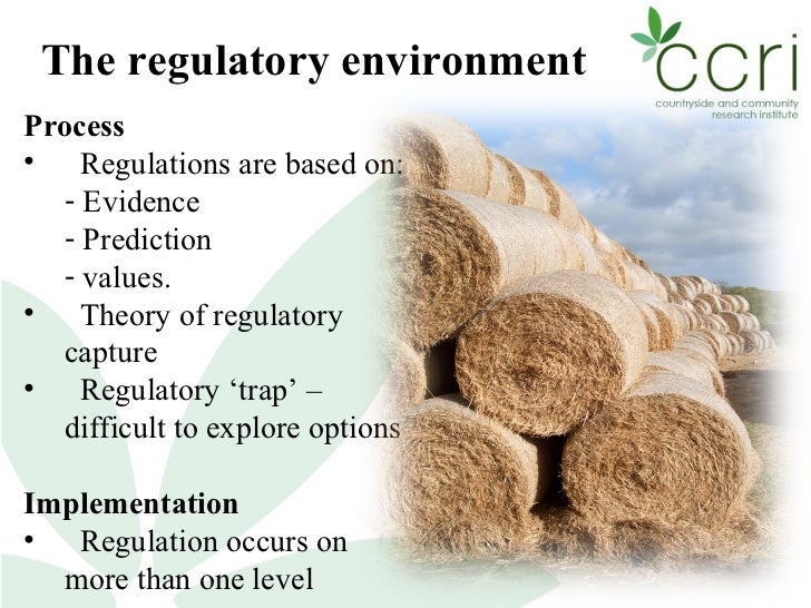 The role of voluntary approaches in a regulatory environment